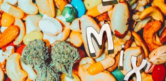 Pistachio Gods – New Law (Trail Mix EP) Pistachio Gods - New Law (Trail Mix EP)