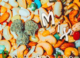 Pistachio Gods – New Law (Trail Mix EP) Pistachio Gods - New Law (Trail Mix EP)