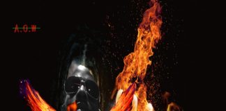 Zireal – Gun Go Hot