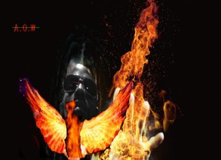 Zireal – Gun Go Hot