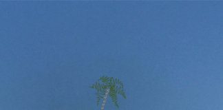 K$TKS – Orange soda & Tetris K$TKS - Orange soda & Tetris