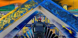 Z Willi – 47 Z Willi - 47