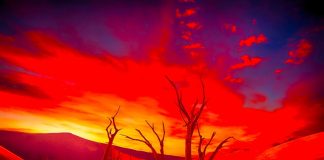 The 4th World – The System of Insanity Enslaving the World and Humanity The 4th World - The System of Insanity Enslaving the World and Humanity