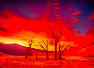 The 4th World – The System of Insanity Enslaving the World and Humanity The 4th World - The System of Insanity Enslaving the World and Humanity