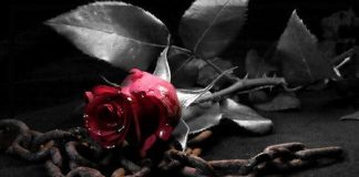 Ramses – Lil Baby ft Gunna Type Beat “Y.A.W.N” Ramses - Lil Baby ft Gunna Type Beat "Y.A.W.N"