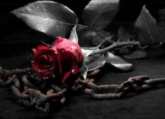 Ramses – Lil Baby ft Gunna Type Beat “Y.A.W.N” Ramses - Lil Baby ft Gunna Type Beat "Y.A.W.N"