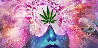 Kid Jone$ – issup Thea Kid Jone$ - issup Thea