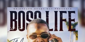 Trilla Ace – Return on Investments Trilla Ace - Return on Investments