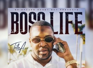 Trilla Ace – Return on Investments Trilla Ace - Return on Investments