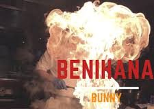 Bunny – Benihana Bunny - Benihana