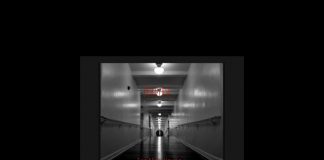 Purverse – The Mad House Purverse - The Mad House