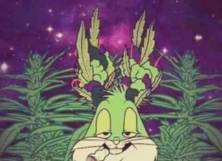 KNKO – Sticky Nugs KNKO - Sticky Nugs