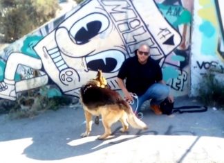 Krazykabesmens – PARECE SER