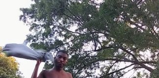 Drew The Dream – Promises Drew The Dream - Promises