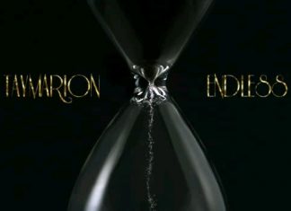 Taymarion – Endless Taymarion - Endless