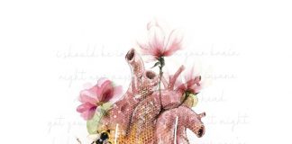 Crystal Carr – Shook Crystal Carr - Shook