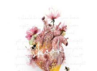 Crystal Carr – Shook Crystal Carr - Shook