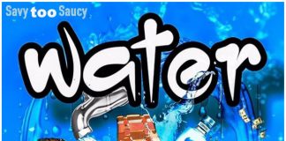Savy Too Saucy – Water Savy Too Saucy - Water