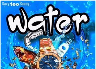 Savy Too Saucy – Water Savy Too Saucy - Water