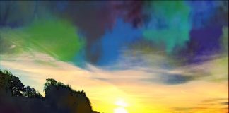 JavE – Summer Party JavE - Summer Party