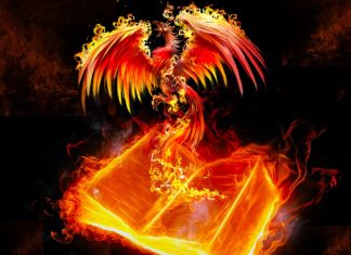 Chuck Uzi – Phoenix Chuck Uzi - Phoenix