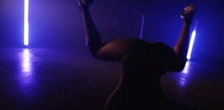 Ducewa – Disretwerkful