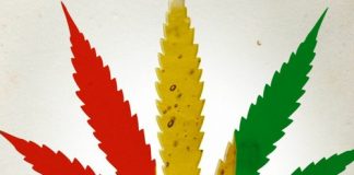 KNKO – HIPPIE DRIPP KNKO - HIPPIE DRIPP