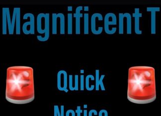 Magnificent T – Quick Notice Magnificent T - Quick Notice