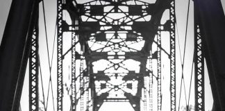 GG Still Alive – Rain GG Still Alive - Rain