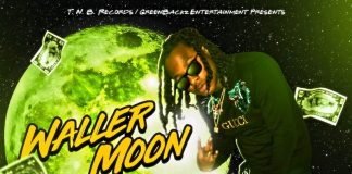 WallerBoi – WallerMoon EP 4.0 WallerBoi - WallerMoon EP 4.0
