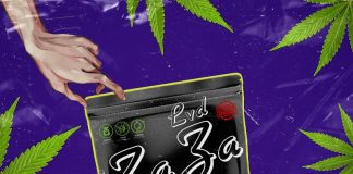 Lvd – ZaZa