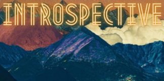 MC 333 – Introspective