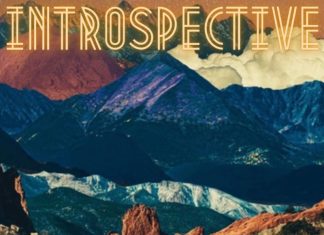 MC 333 – Introspective