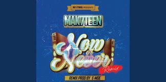 Mak7teen – Now Or Never Remix