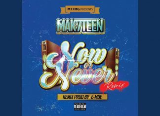 Mak7teen – Now Or Never Remix