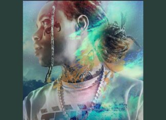 Kyd Knarly – Ben 10