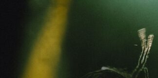 Xenos: Global Hip-Hop Artist Blending Indie & Alternative Sounds