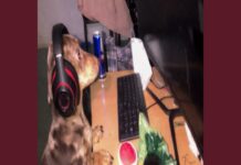 Jim Legxacy “idk idk”: A Raw Look at Success and Grief