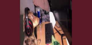 Jim Legxacy “idk idk”: A Raw Look at Success and Grief