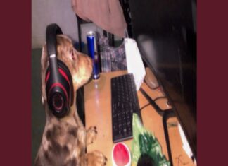 Jim Legxacy “idk idk”: A Raw Look at Success and Grief