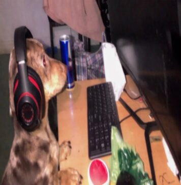 Jim Legxacy “idk idk”: A Raw Look at Success and Grief