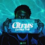 LeoStayTrill – Citrus: The New Anthem of 2026