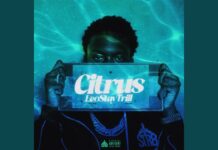 LeoStayTrill – Citrus: The New Anthem of 2026