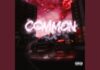 Pozer ‘Common’ Review: Stripping Back the Hype for ‘Crossroads’