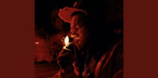 Digga D – Point To Prove: Track Review & Analysis