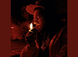 Digga D – Point To Prove: Track Review & Analysis