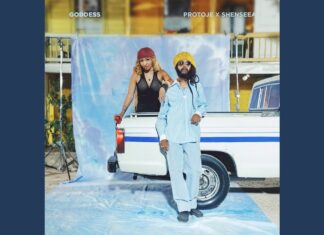 Protoje & Shenseea “Goddess” Review: A Soulful Caribbean Link-Up