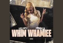 Why PLUTO’s “WHIM WHAMIEE” is the Viral Club Anthem of the Year