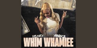 Why PLUTO’s “WHIM WHAMIEE” is the Viral Club Anthem of the Year