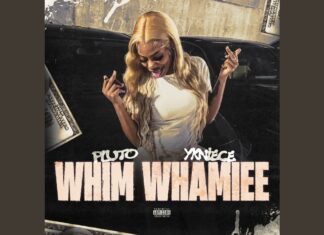 Why PLUTO’s “WHIM WHAMIEE” is the Viral Club Anthem of the Year